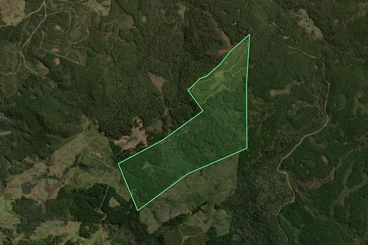 Imagem de satélite do imóvel rural em Santa Cecília (SC), com o contorno declarado no CAR desenhado por cima.