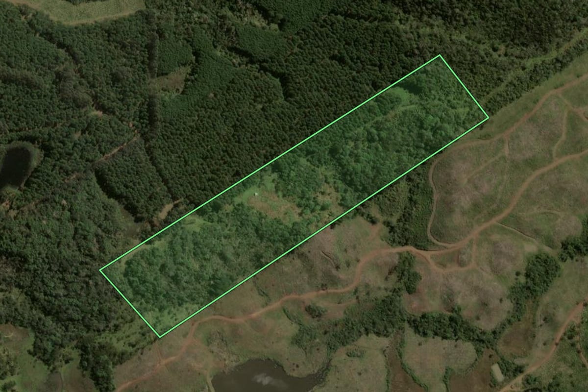Imagem de satélite do imóvel rural em Santa Cecília (SC), com o contorno declarado no CAR desenhado por cima.