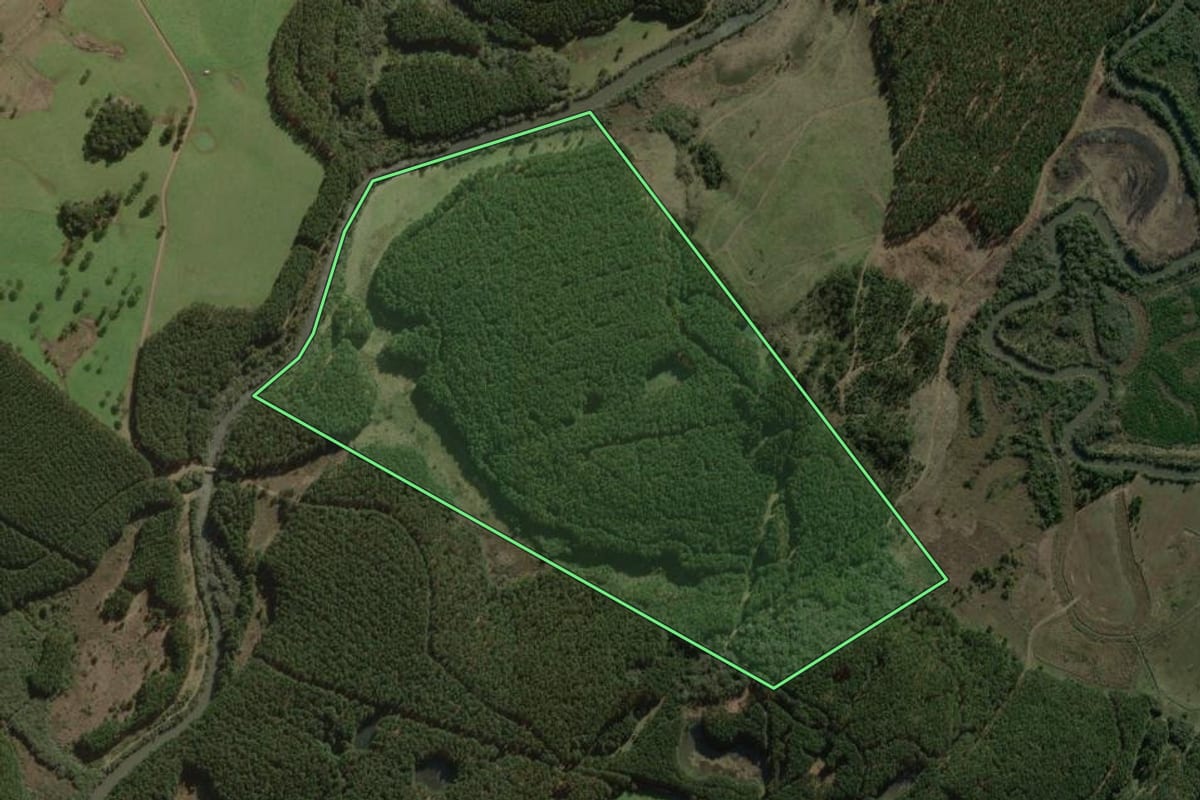 Imagem de satélite do imóvel rural em Santa Cecília (SC), com o contorno declarado no CAR desenhado por cima.