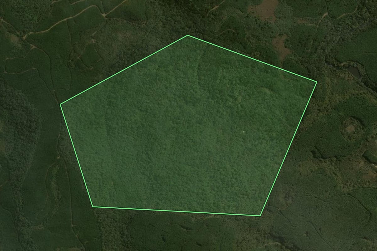 Imagem de satélite do imóvel rural em Santa Cecília (SC), com o contorno declarado no CAR desenhado por cima.