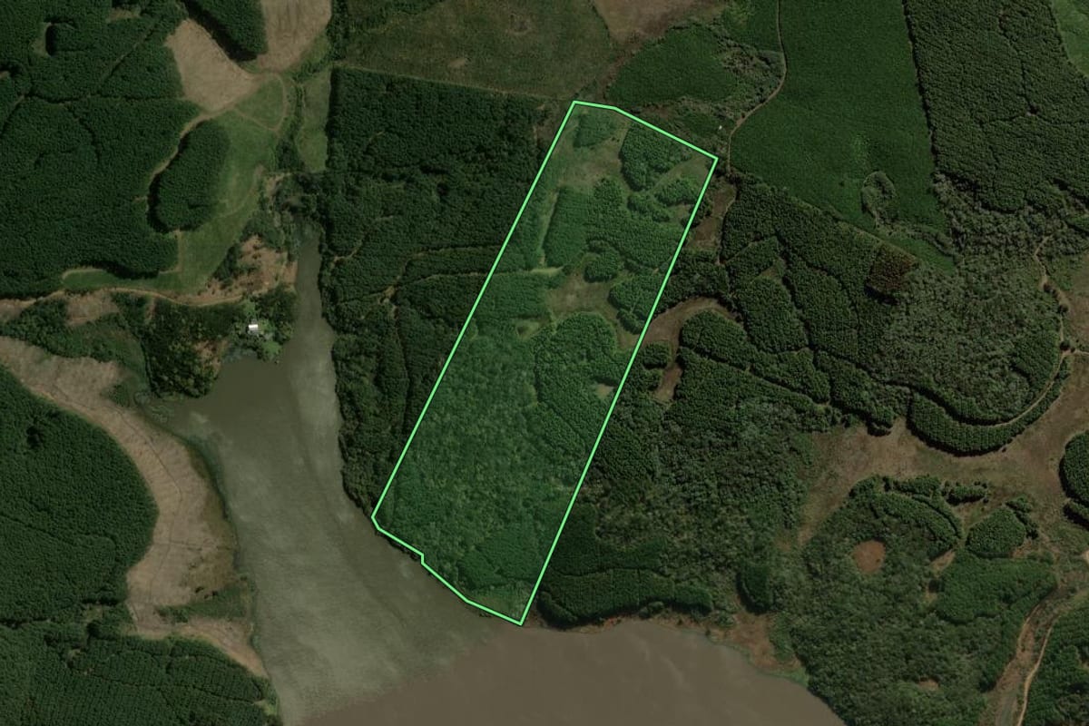 Imagem de satélite do imóvel rural em Santa Cecília (SC), com o contorno declarado no CAR desenhado por cima.