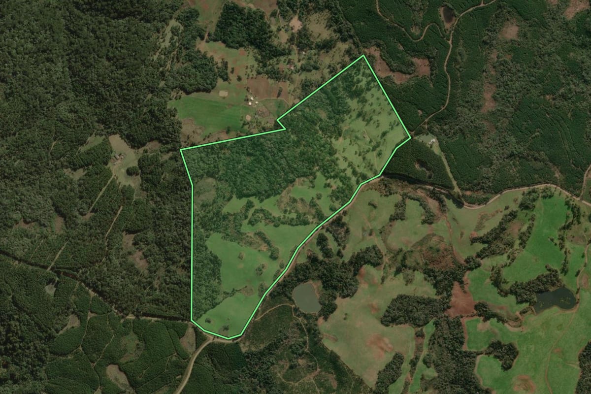 Imagem de satélite do imóvel rural em Santa Cecília (SC), com o contorno declarado no CAR desenhado por cima.