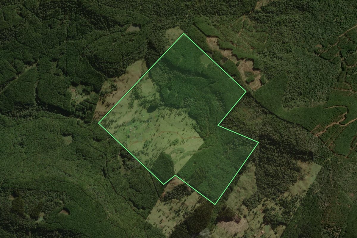 Imagem de satélite do imóvel rural em Santa Cecília (SC), com o contorno declarado no CAR desenhado por cima.
