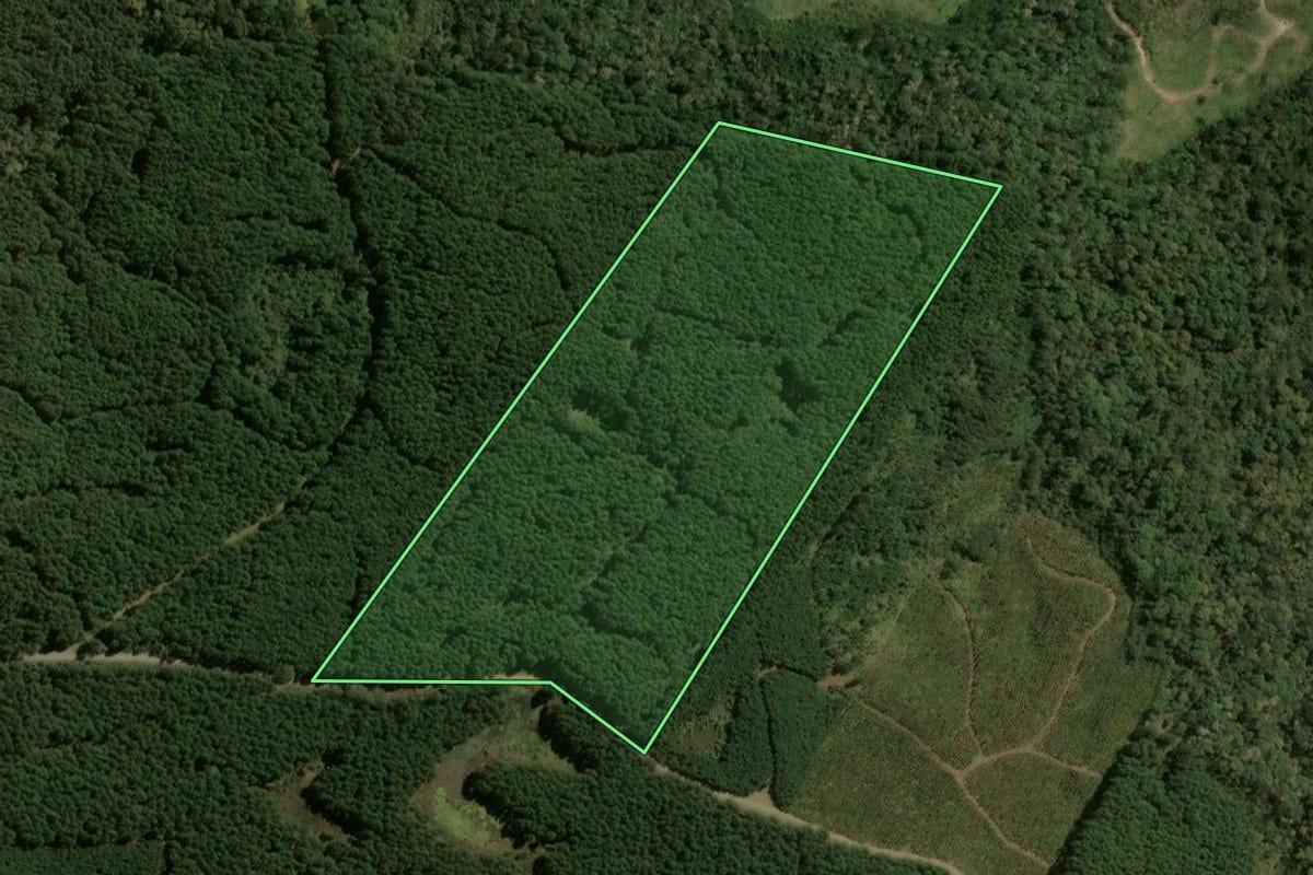 Imagem de satélite do imóvel rural em Santa Cecília (SC), com o contorno declarado no CAR desenhado por cima.