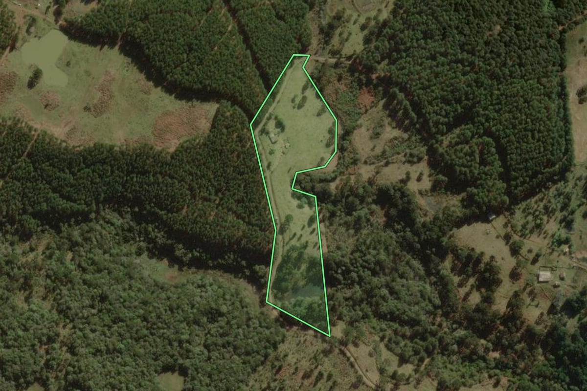Imagem de satélite do imóvel rural em Santa Cecília (SC), com o contorno declarado no CAR desenhado por cima.