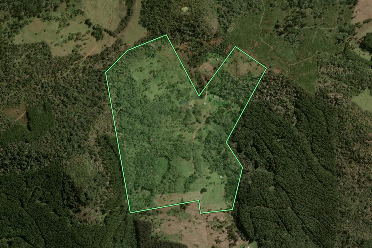 Imagem de satélite do imóvel rural em Santa Cecília (SC), com o contorno declarado no CAR desenhado por cima.