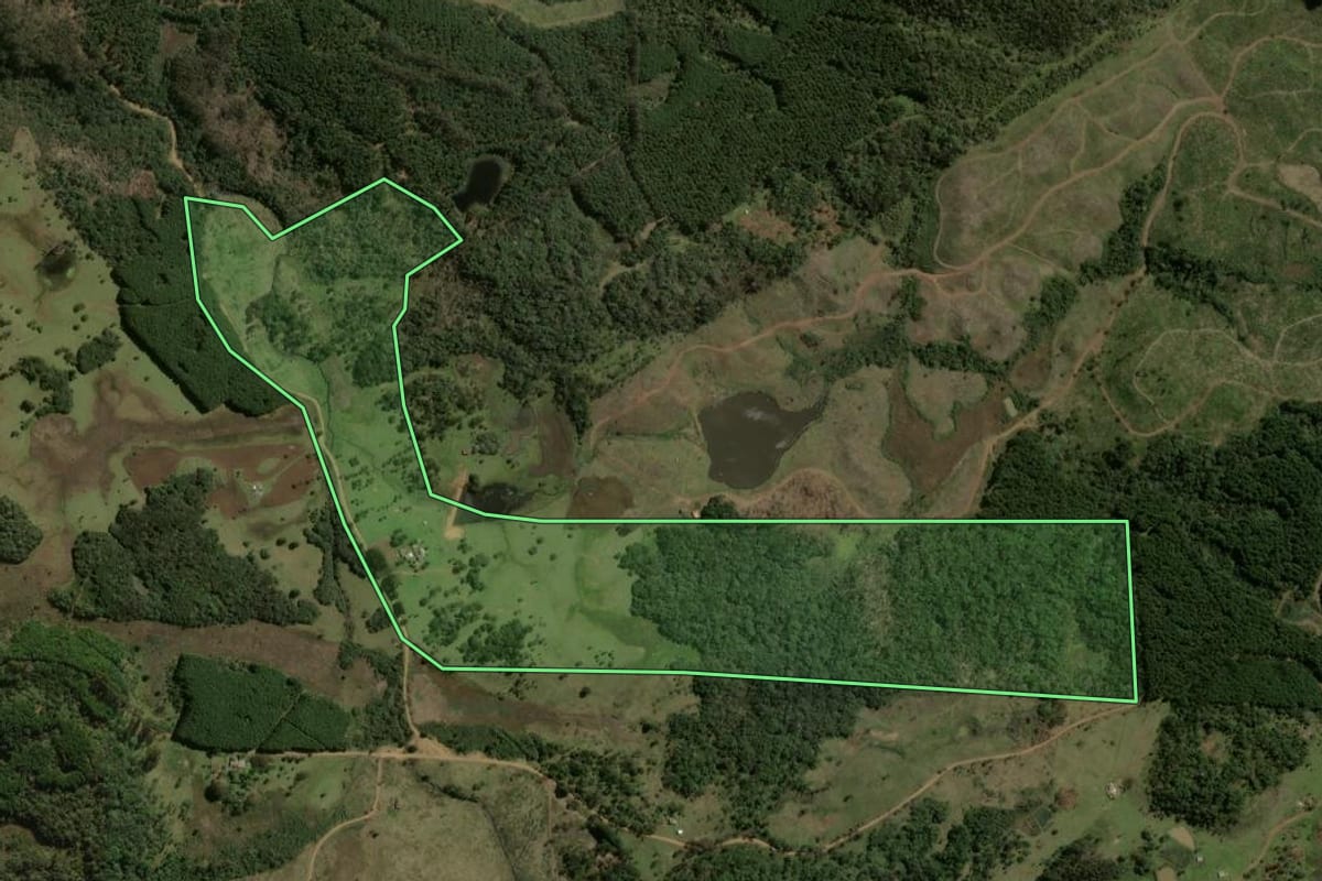 Imagem de satélite do imóvel rural em Santa Cecília (SC), com o contorno declarado no CAR desenhado por cima.