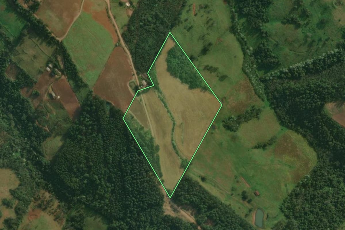 Imagem de satélite do imóvel rural em Santa Helena (SC), com o contorno declarado no CAR desenhado por cima.