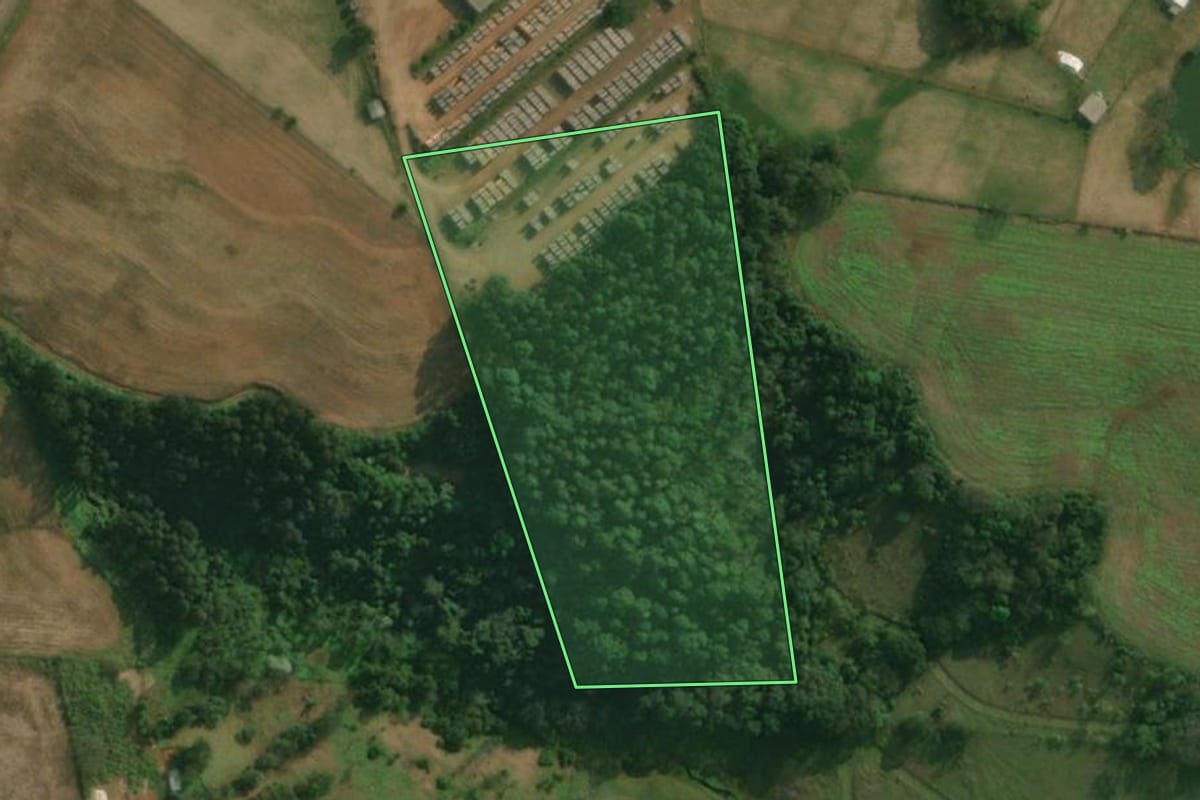 Imagem de satélite do imóvel rural em Santa Helena (SC), com o contorno declarado no CAR desenhado por cima.