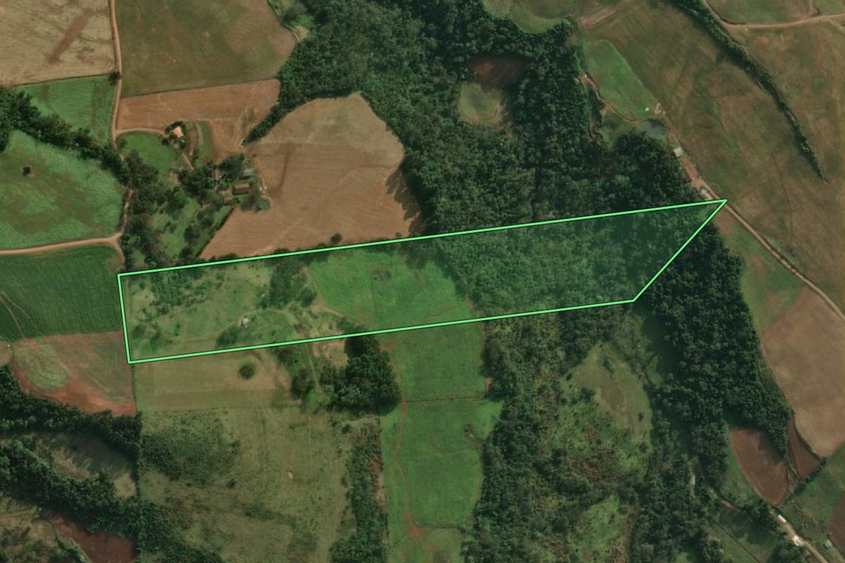 Imagem de satélite do imóvel rural em Santa Helena (SC), com o contorno declarado no CAR desenhado por cima.
