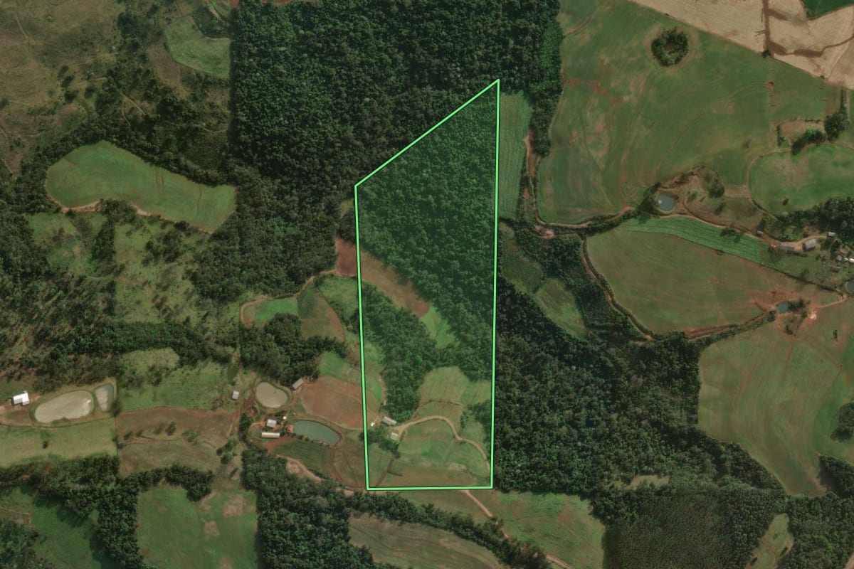 Imagem de satélite do imóvel rural em Santa Helena (SC), com o contorno declarado no CAR desenhado por cima.