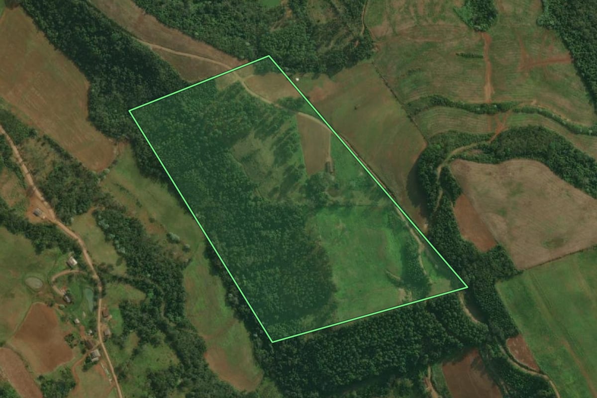 Imagem de satélite do imóvel rural em Santa Helena (SC), com o contorno declarado no CAR desenhado por cima.
