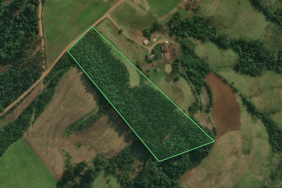 Imagem de satélite do imóvel rural em Santa Helena (SC), com o contorno declarado no CAR desenhado por cima.