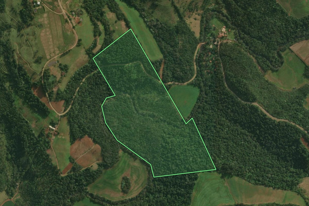Imagem de satélite do imóvel rural em Santa Helena (SC), com o contorno declarado no CAR desenhado por cima.