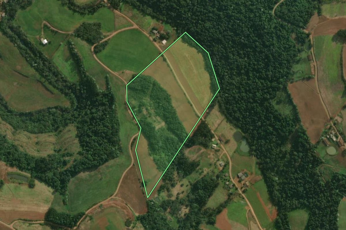Imagem de satélite do imóvel rural em Santa Helena (SC), com o contorno declarado no CAR desenhado por cima.