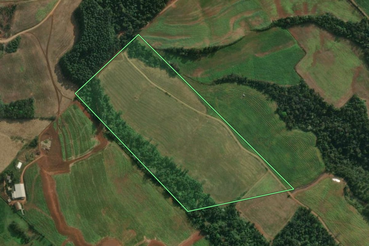 Imagem de satélite do imóvel rural em Santa Helena (SC), com o contorno declarado no CAR desenhado por cima.