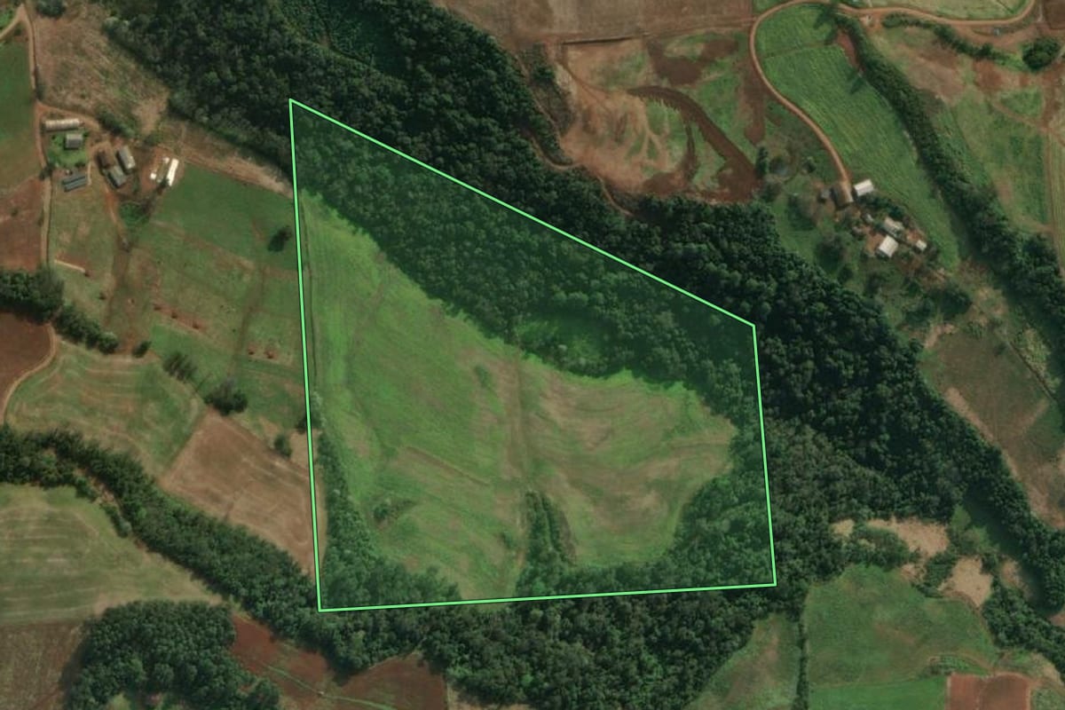 Imagem de satélite do imóvel rural em Santa Helena (SC), com o contorno declarado no CAR desenhado por cima.