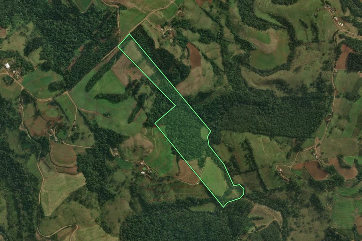 Imagem de satélite do imóvel rural em Santa Helena (SC), com o contorno declarado no CAR desenhado por cima.