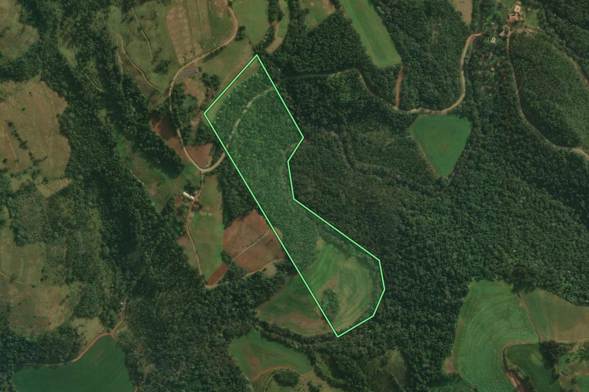 Imagem de satélite do imóvel rural em Santa Helena (SC), com o contorno declarado no CAR desenhado por cima.