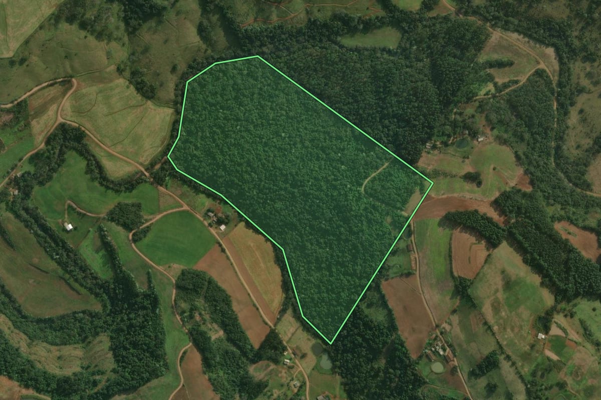 Imagem de satélite do imóvel rural em Santa Helena (SC), com o contorno declarado no CAR desenhado por cima.