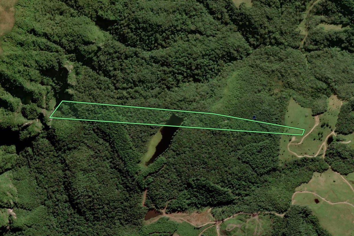 Imagem de satélite do imóvel rural em Santa Rosa de Lima (SC), com o contorno declarado no CAR desenhado por cima.