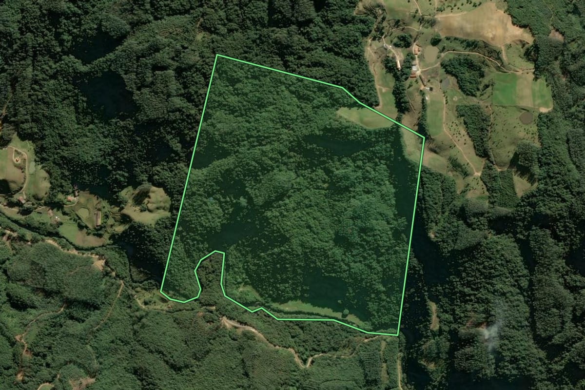 Imagem de satélite do imóvel rural em Santa Rosa de Lima (SC), com o contorno declarado no CAR desenhado por cima.
