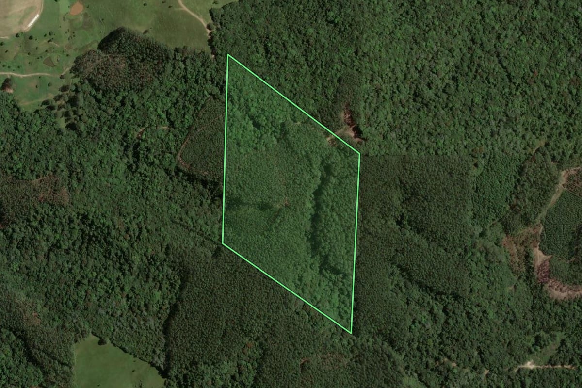 Imagem de satélite do imóvel rural em Santa Rosa de Lima (SC), com o contorno declarado no CAR desenhado por cima.