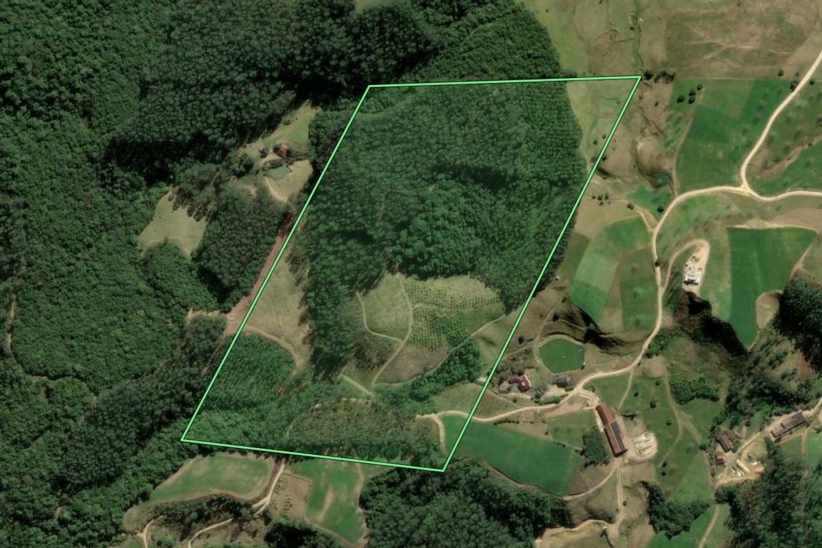 Imagem de satélite do imóvel rural em Santa Rosa de Lima (SC), com o contorno declarado no CAR desenhado por cima.