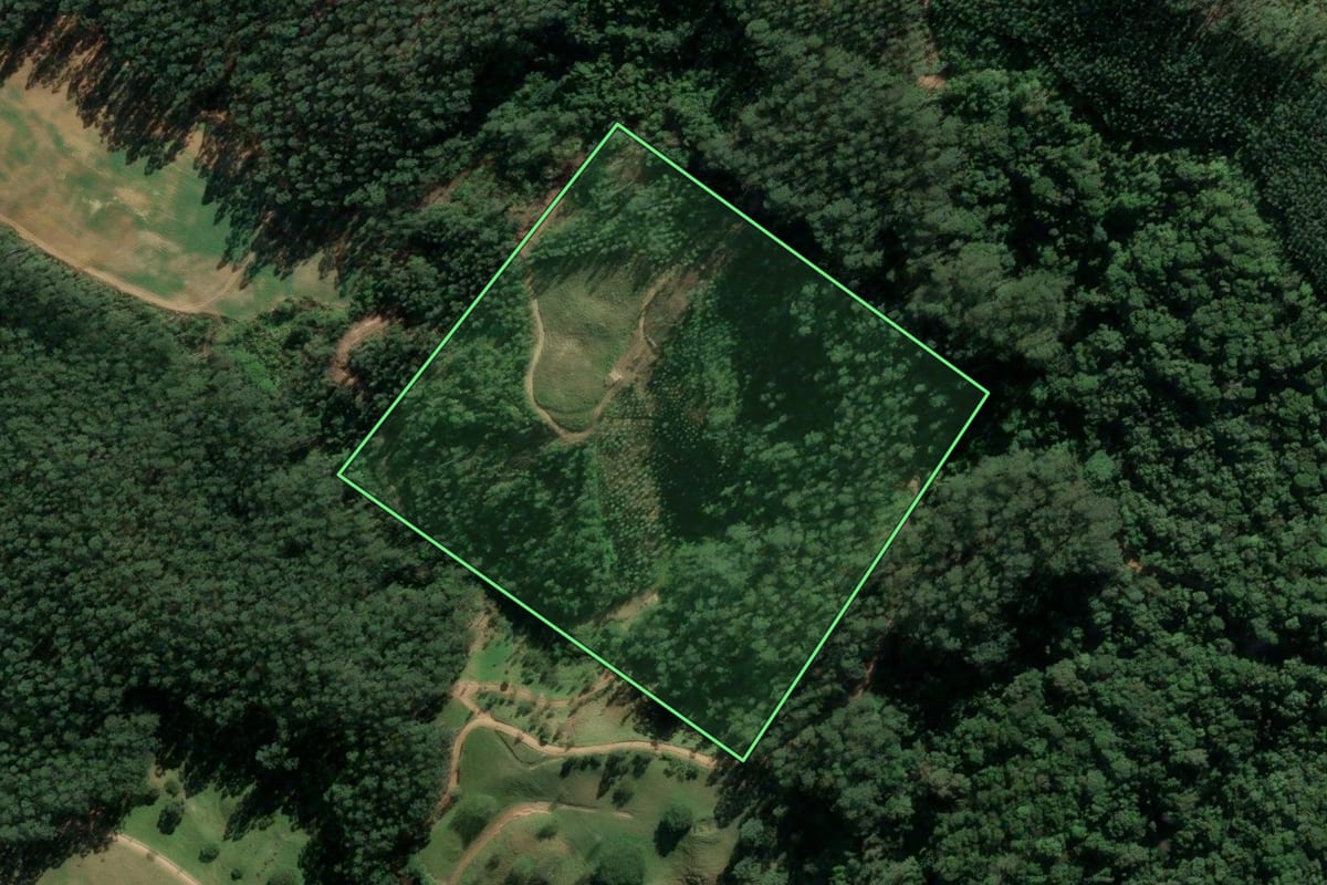 Imagem de satélite do imóvel rural em Santa Rosa de Lima (SC), com o contorno declarado no CAR desenhado por cima.
