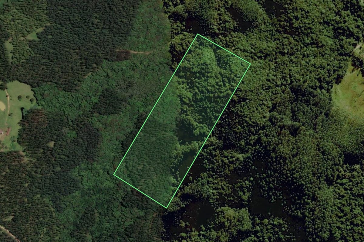 Imagem de satélite do imóvel rural em Santa Rosa de Lima (SC), com o contorno declarado no CAR desenhado por cima.