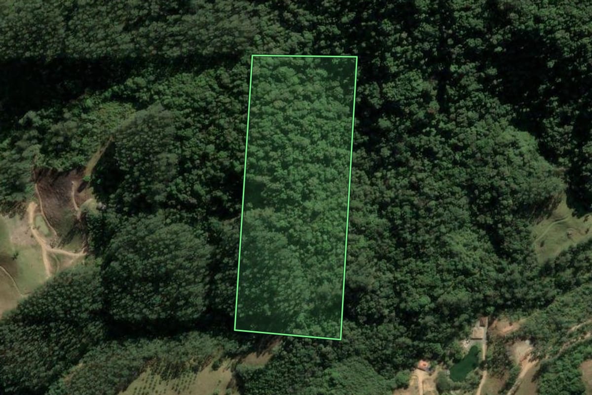 Imagem de satélite do imóvel rural em Santa Rosa de Lima (SC), com o contorno declarado no CAR desenhado por cima.