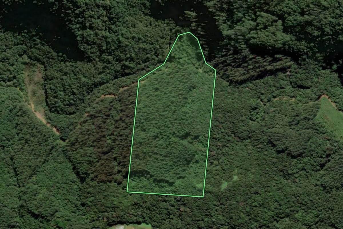 Imagem de satélite do imóvel rural em Santa Rosa de Lima (SC), com o contorno declarado no CAR desenhado por cima.