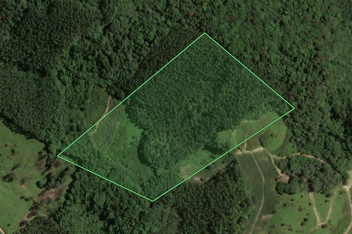 Imagem de satélite do imóvel rural em Santa Rosa de Lima (SC), com o contorno declarado no CAR desenhado por cima.