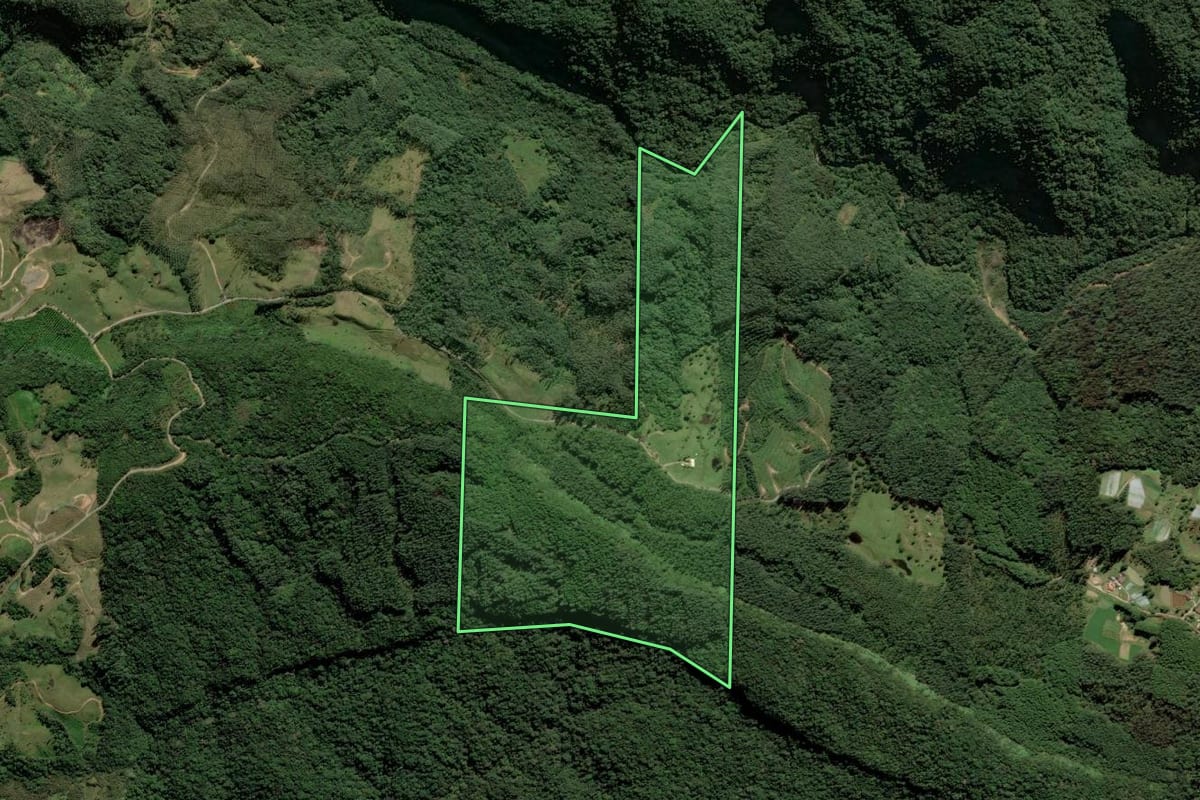 Imagem de satélite do imóvel rural em Santa Rosa de Lima (SC), com o contorno declarado no CAR desenhado por cima.