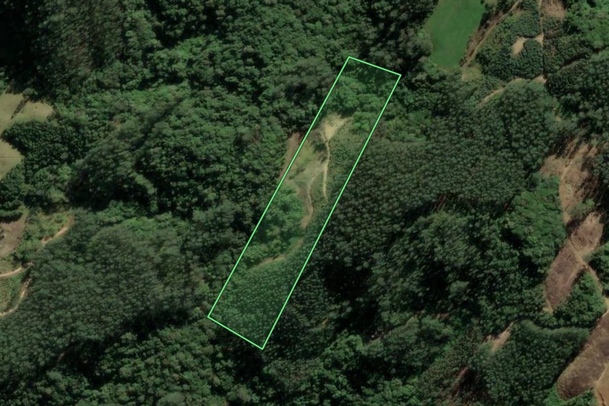 Imagem de satélite do imóvel rural em Santa Rosa de Lima (SC), com o contorno declarado no CAR desenhado por cima.