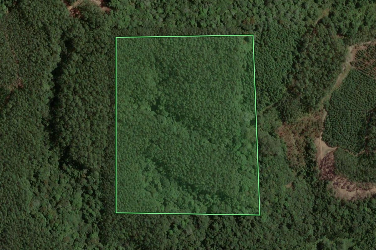 Imagem de satélite do imóvel rural em Santa Rosa de Lima (SC), com o contorno declarado no CAR desenhado por cima.