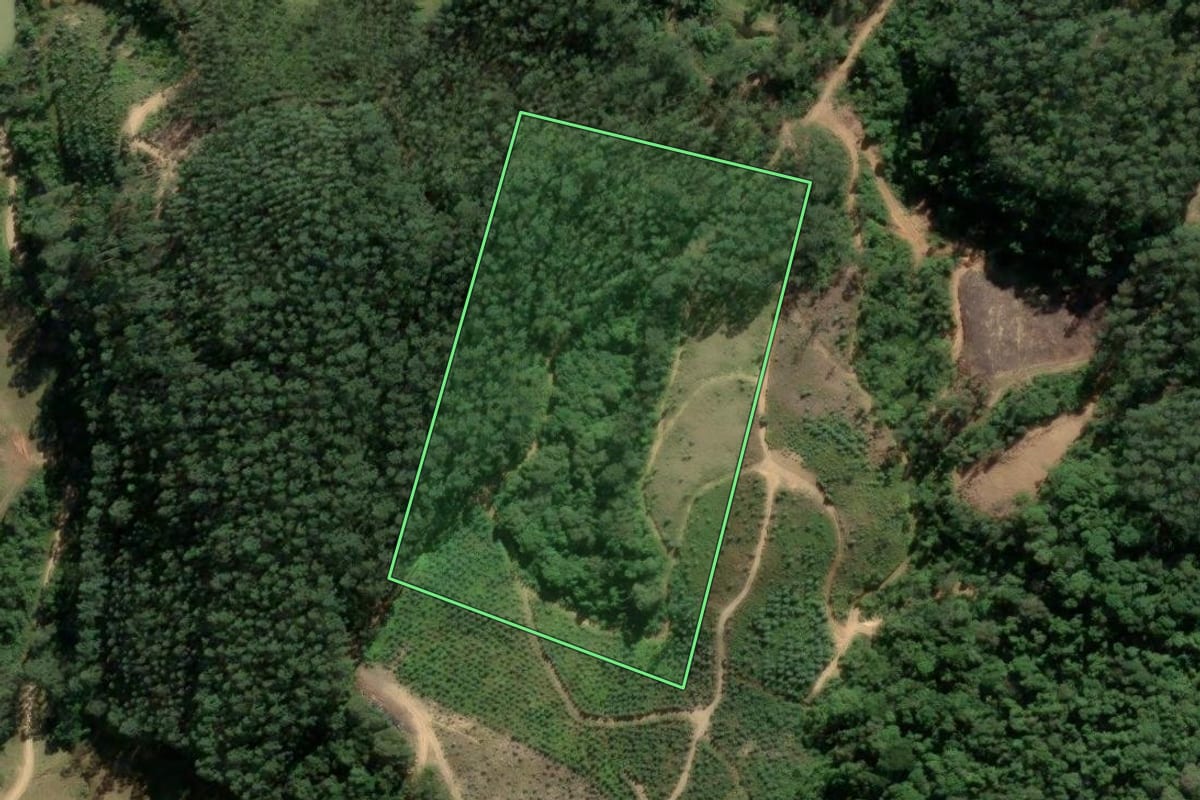 Imagem de satélite do imóvel rural em Santa Rosa de Lima (SC), com o contorno declarado no CAR desenhado por cima.