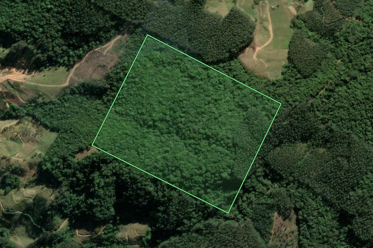 Imagem de satélite do imóvel rural em Santa Rosa de Lima (SC), com o contorno declarado no CAR desenhado por cima.
