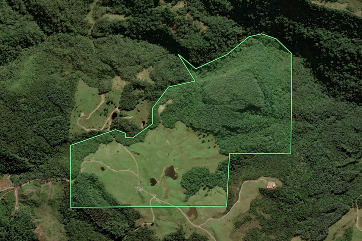 Imagem de satélite do imóvel rural em Santa Rosa de Lima (SC), com o contorno declarado no CAR desenhado por cima.