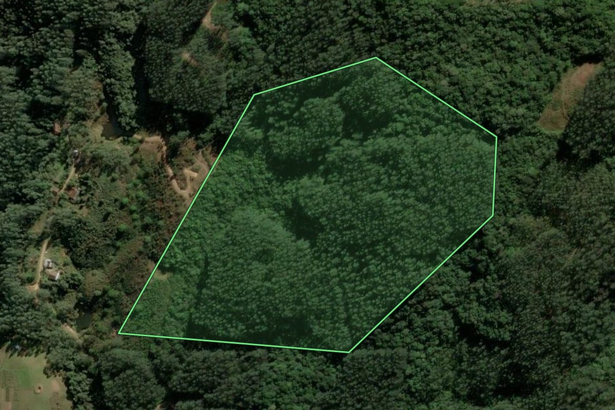 Imagem de satélite do imóvel rural em Santa Rosa de Lima (SC), com o contorno declarado no CAR desenhado por cima.
