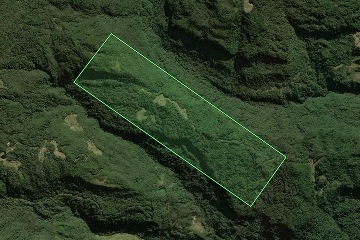 Imagem de satélite do imóvel rural em Santa Rosa de Lima (SC), com o contorno declarado no CAR desenhado por cima.
