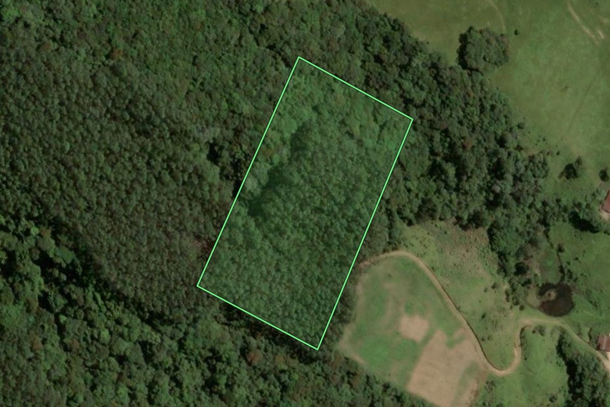 Imagem de satélite do imóvel rural em Santa Rosa de Lima (SC), com o contorno declarado no CAR desenhado por cima.
