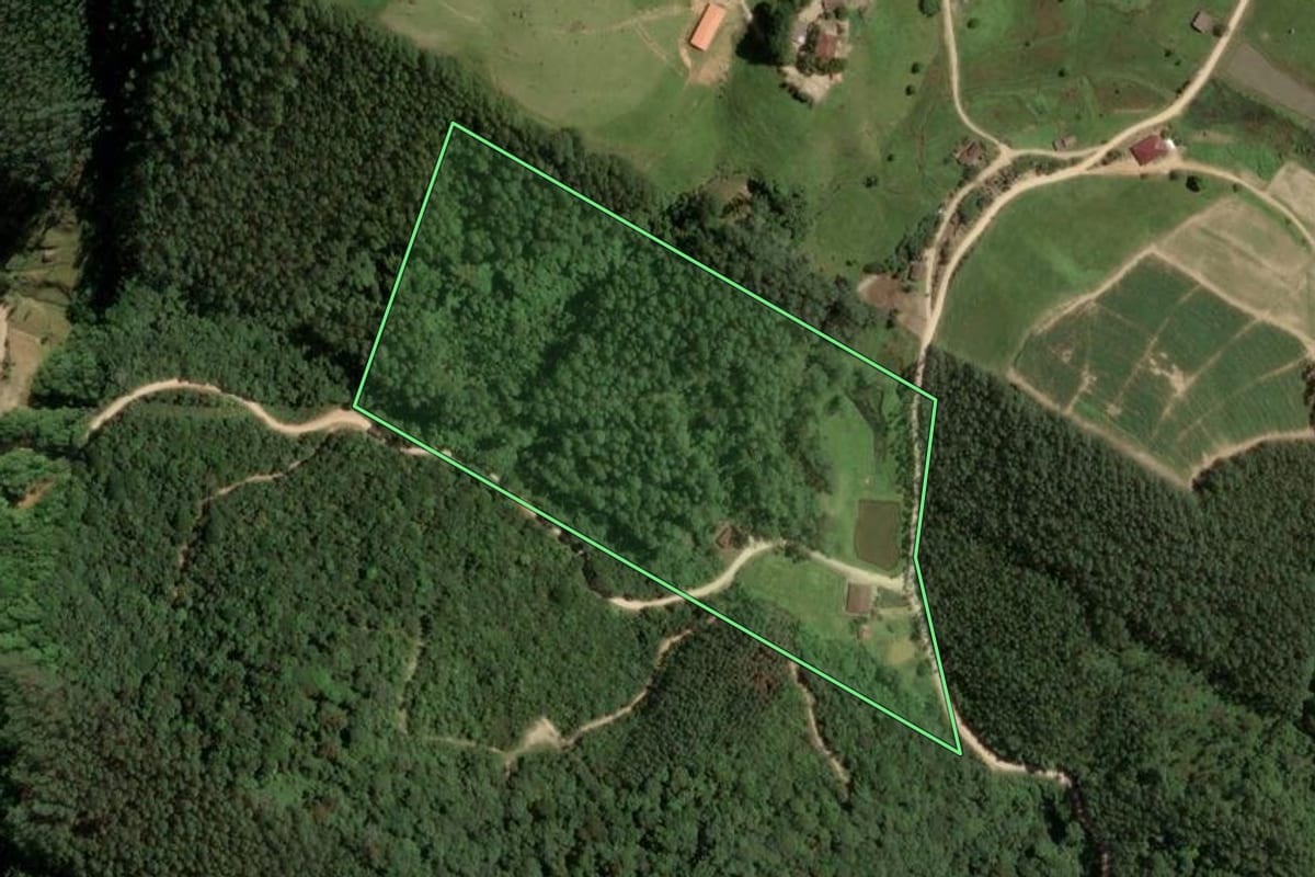 Imagem de satélite do imóvel rural em Santa Rosa de Lima (SC), com o contorno declarado no CAR desenhado por cima.