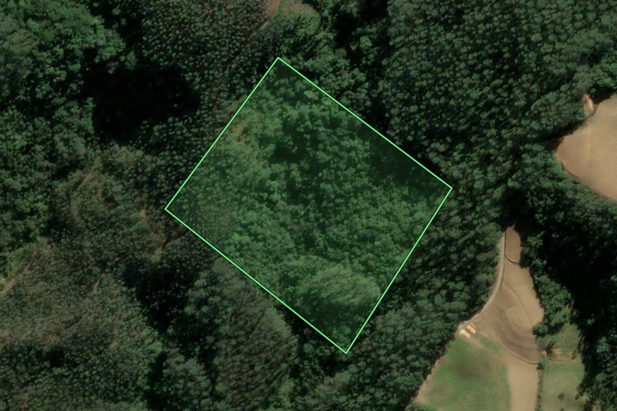 Imagem de satélite do imóvel rural em Santa Rosa de Lima (SC), com o contorno declarado no CAR desenhado por cima.