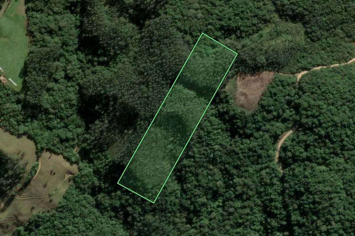 Imagem de satélite do imóvel rural em Santa Rosa de Lima (SC), com o contorno declarado no CAR desenhado por cima.
