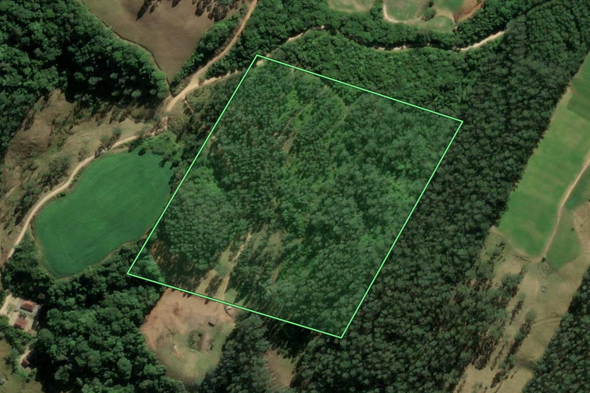 Imagem de satélite do imóvel rural em Santa Rosa de Lima (SC), com o contorno declarado no CAR desenhado por cima.