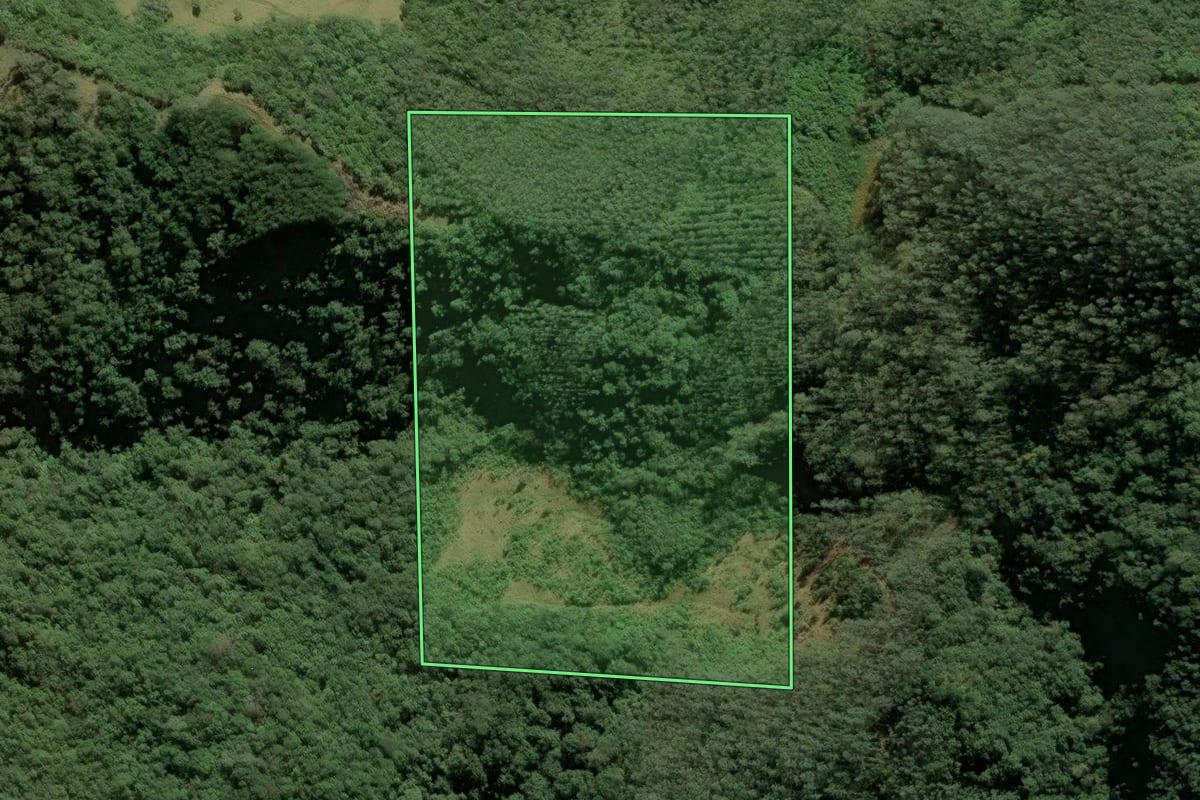 Imagem de satélite do imóvel rural em Santa Rosa de Lima (SC), com o contorno declarado no CAR desenhado por cima.