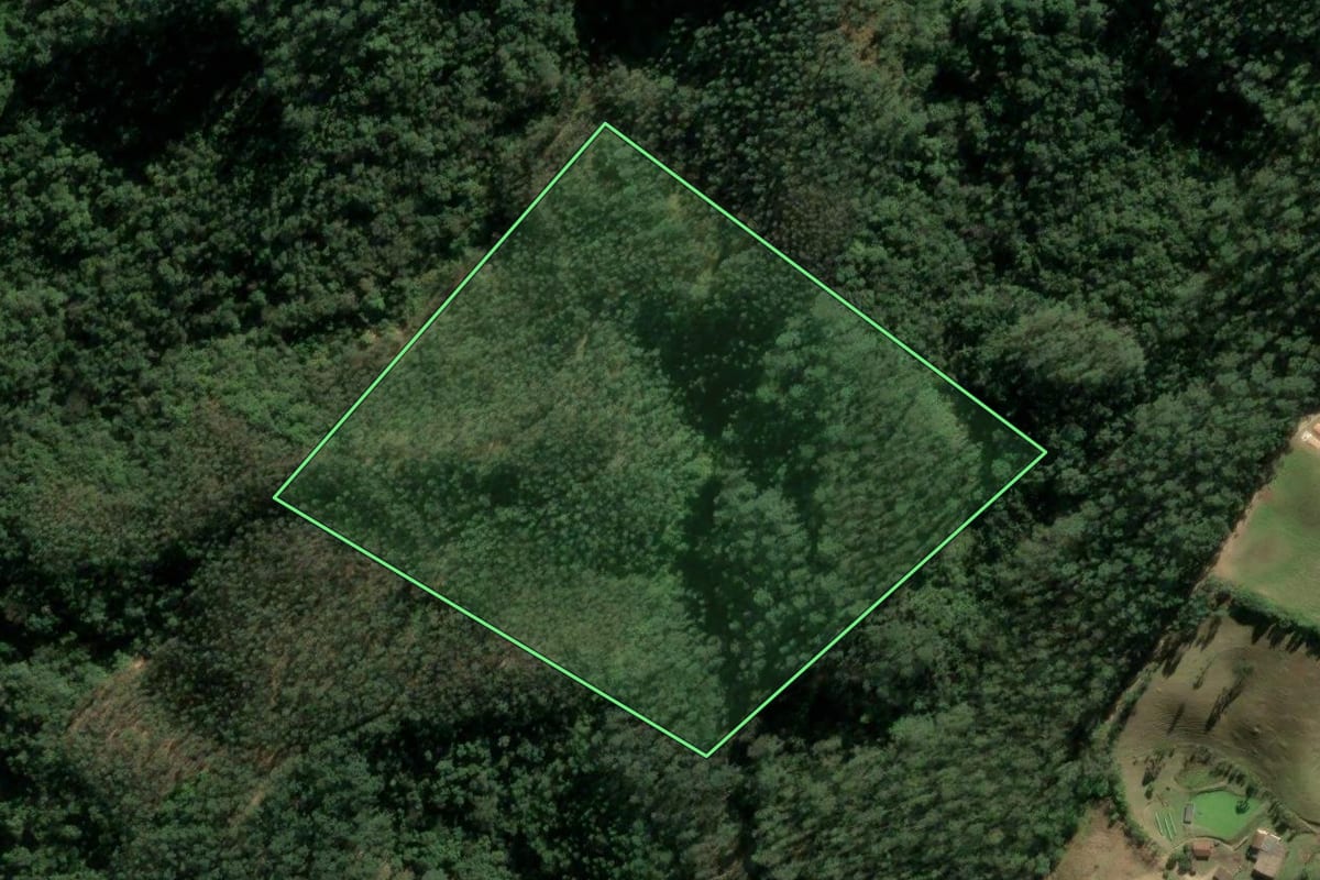 Imagem de satélite do imóvel rural em Santa Rosa de Lima (SC), com o contorno declarado no CAR desenhado por cima.