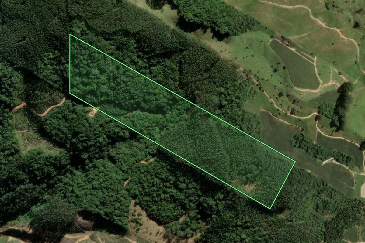 Imagem de satélite do imóvel rural em Santa Rosa de Lima (SC), com o contorno declarado no CAR desenhado por cima.