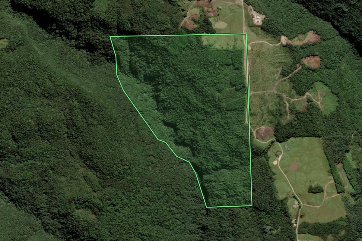 Imagem de satélite do imóvel rural em Santa Rosa de Lima (SC), com o contorno declarado no CAR desenhado por cima.